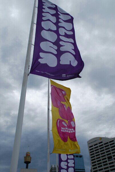 DSC_0098.NEF.jpg image