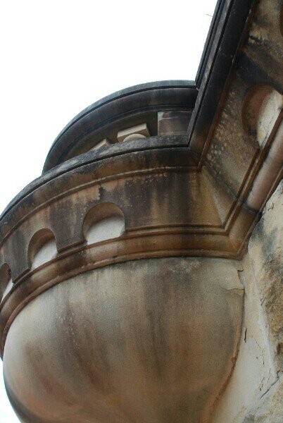 DSC_0101.NEF~3.jpg image