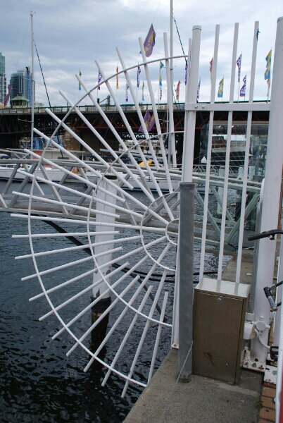 DSC_0104.NEF.jpg image