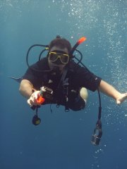 Great Barrier Diving