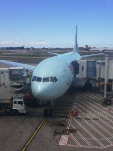 7460_10153544299650532_1839239311_n