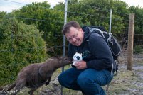 Meeting new wild friends in Tasmania